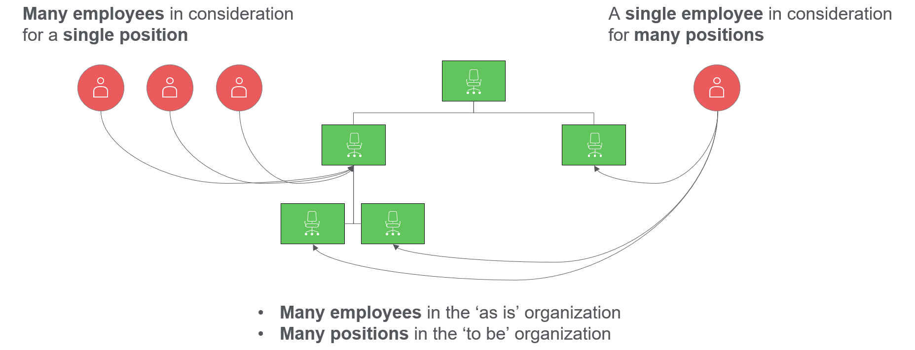 A diagram of a company  Description automatically generated